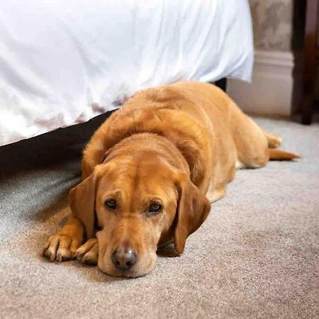 The Stanley Suite 1 Bedroom Apt Dog Friendly Patio ฮาร์โรเกต ภายนอก รูปภาพ